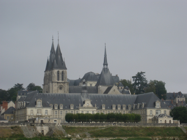 393-22-IMG_2631.JPG
