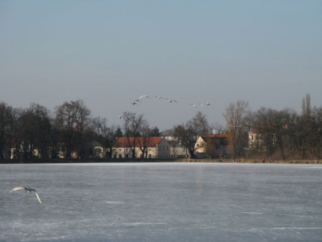 396-12-05xlabute.JPG