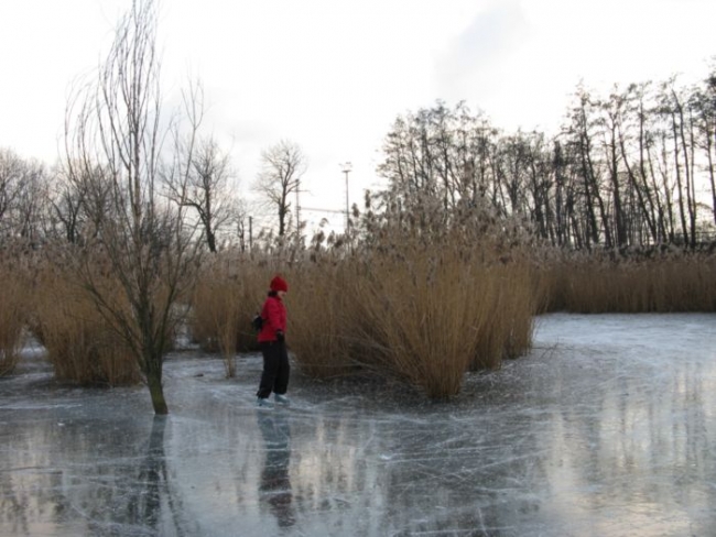 396-12-06xschovavacka.JPG