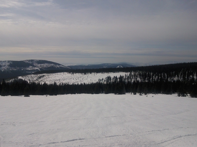 400-28-SNC00116x.jpg