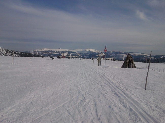 400-28-SNC00119x.jpg