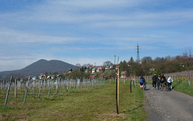 407-156-P1060937.JPG