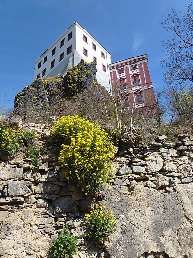 407-156-P1060963.JPG