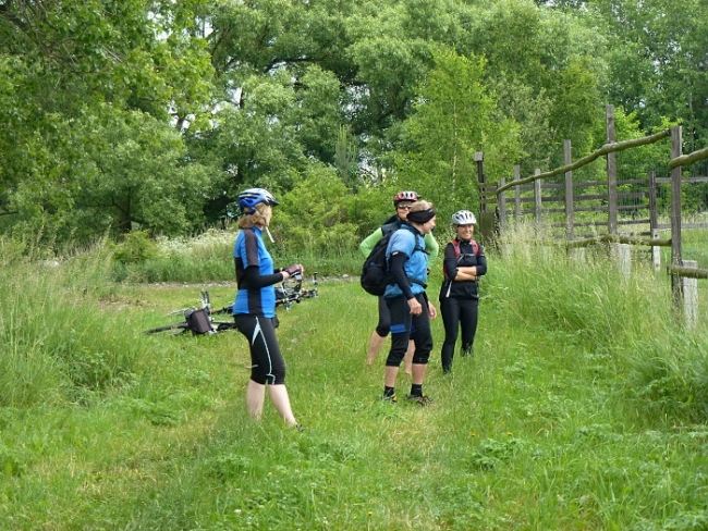 415-156-P1070698.JPG