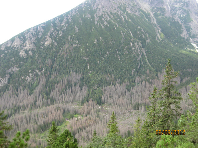 418-22-IMG_2400.JPG