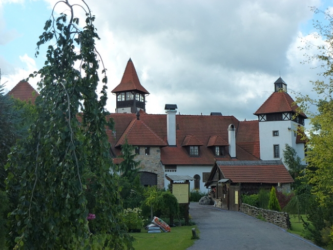 421-156-P1090294.JPG