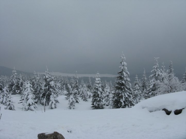 469-12-07xVyhledxnaxSous.JPG