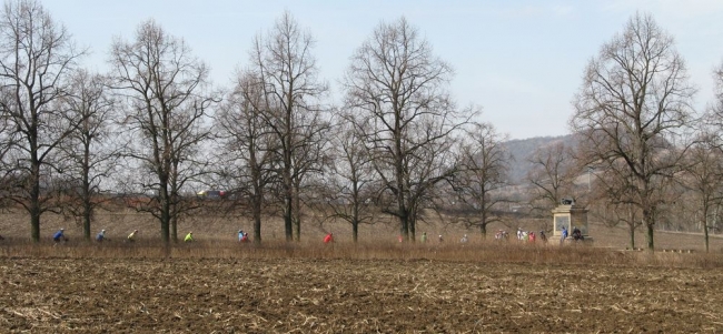 471-12-IMG_0453.JPG
