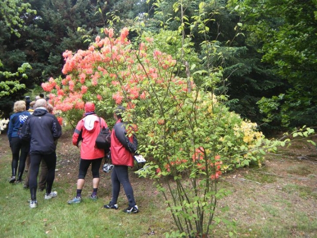 489-27-DSCF2024.JPG