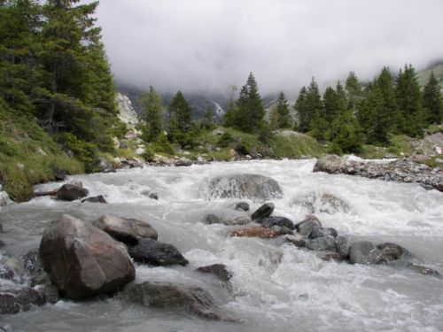 5-12-006xKanderstegg.JPG