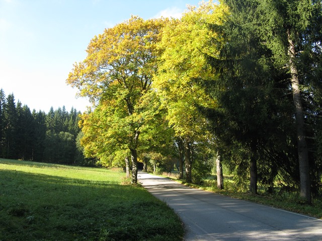507-142-IMG_2252.JPG