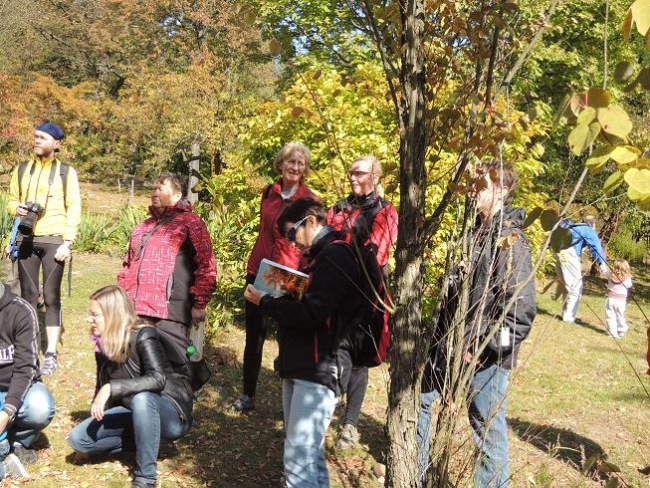 517-92-5.10.2013xxArboretumxuxKostelcexnadxCernymixlesyx014.jpg