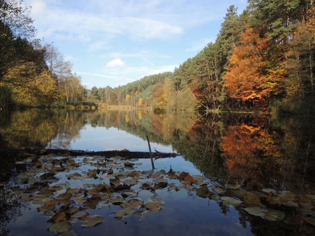 518-92-19.10.2013xxHouskax043.jpg
