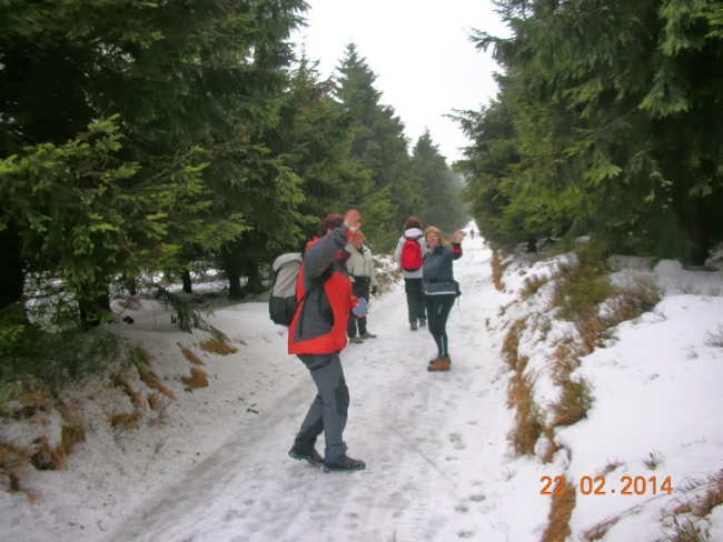 526-94-DSCN0626.JPG