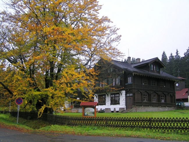 53-58-P9290139.jpg