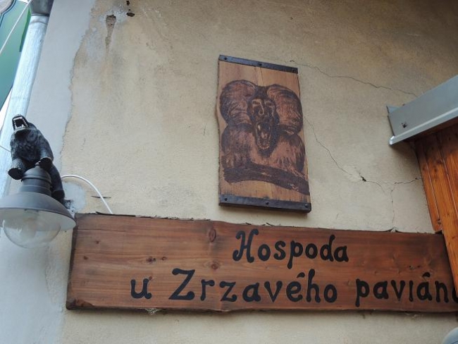 543-92-18.1.2014xxxxSazavax109.jpg