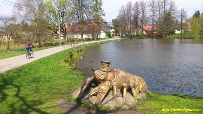 545-110-14_polna_018.JPG