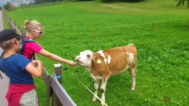 Autor: Michal Třetina 548-110-14_bern_stodola007.JPG
