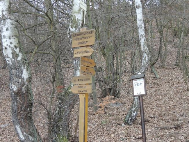 550-92-16.2.2014xxBrdyx025.jpg
