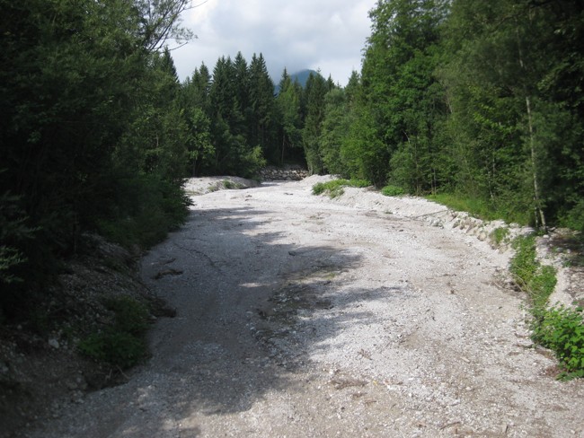 563-22-IMG_3755.JPG