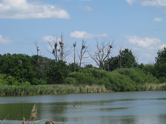 571-142-IMG_2728.JPG