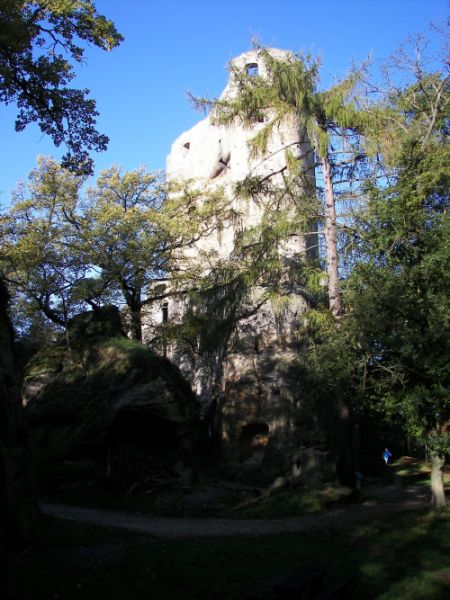 593-12-673_1798.JPG