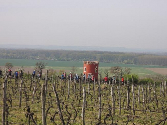 Autor: Iva Harmáčková 629-94-25.4.2015_B.p._Bezdezem_052.jpg