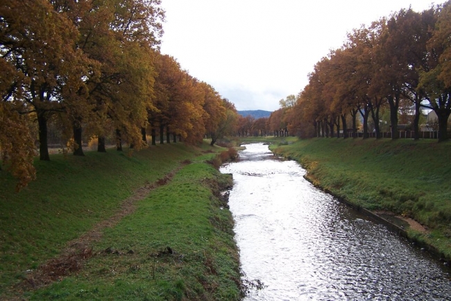 71-58-2007_11_03_zmazanix019.jpg