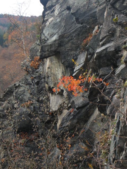 74-17-Skala_5503.jpg