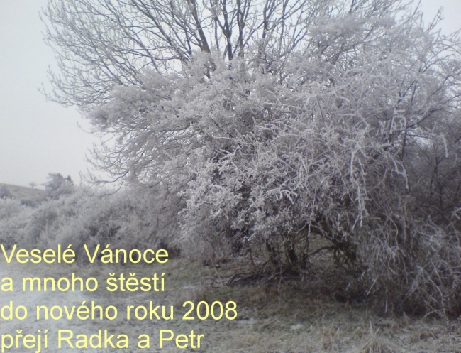80-22-PF2008.jpg