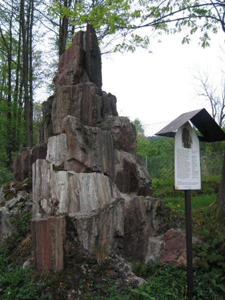 9-17-Zkamenele_stromy.jpg