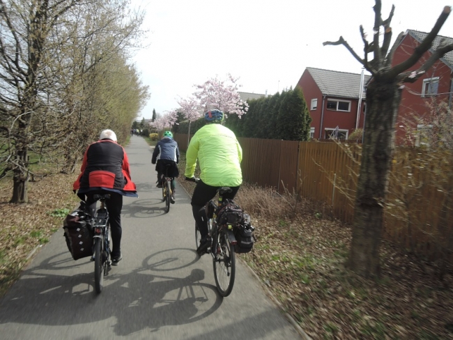 931-94-DSCN6657.JPG