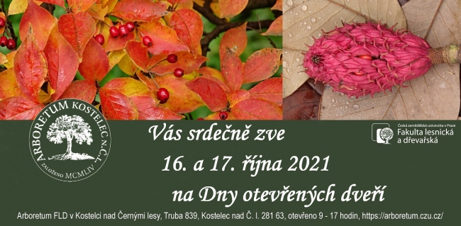 936-17-podzim_2021_web.jpg