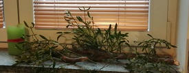 948-29-IMG_7.jpg