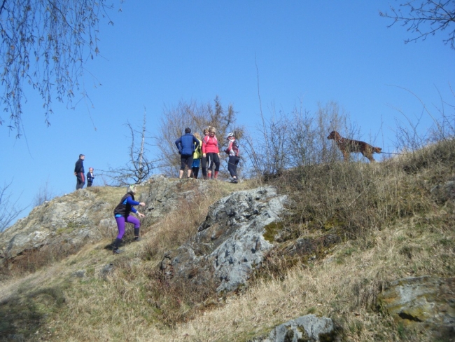 954-27-DSCF6596.JPG