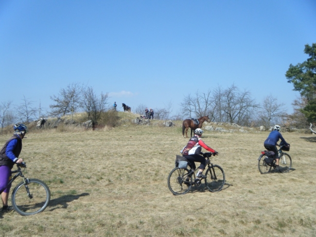 954-27-DSCF6606.JPG
